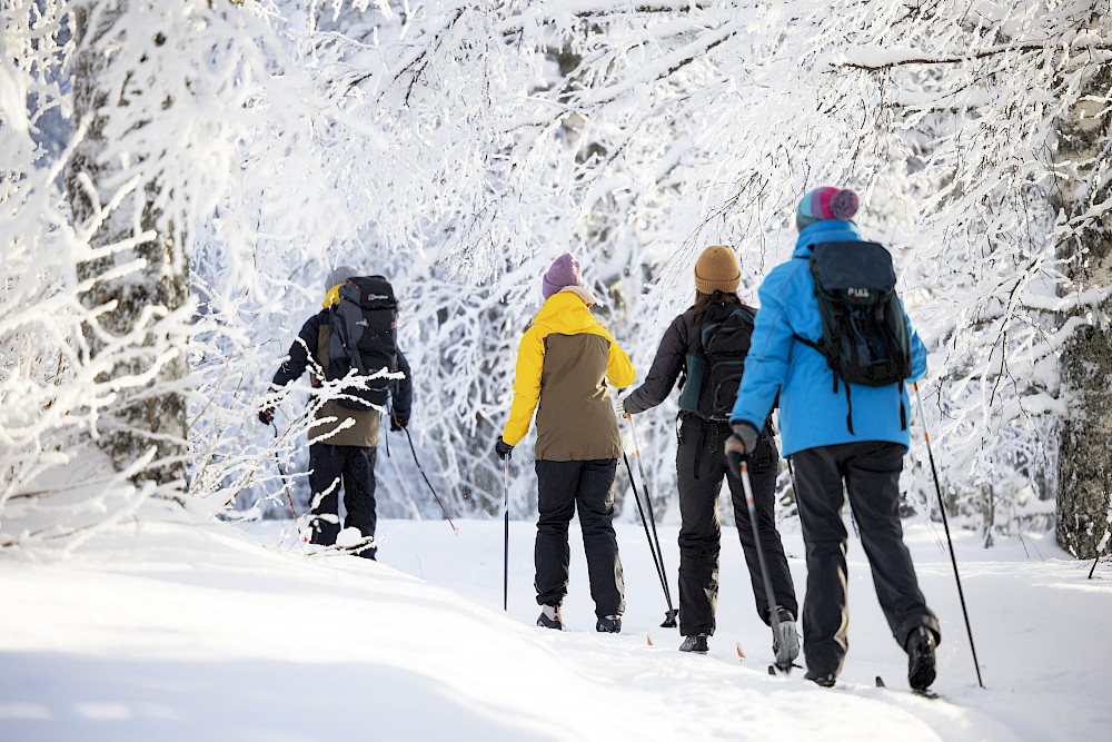 Nurmeksen kaupunki